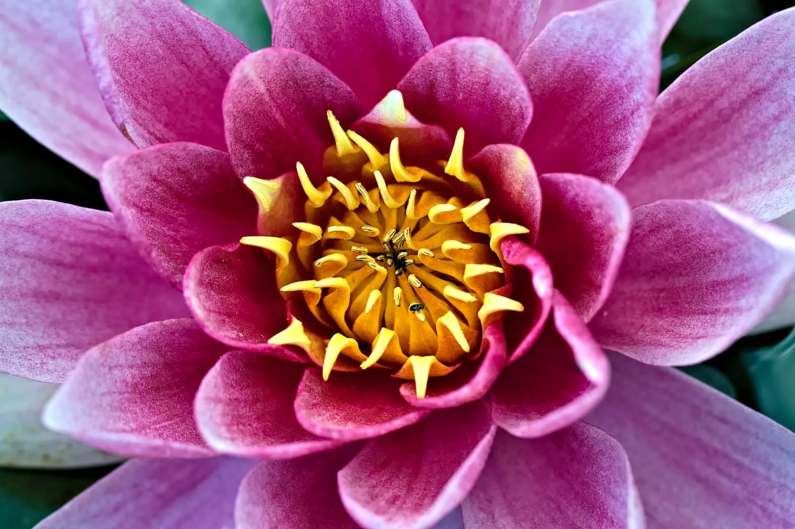 Custom floral arrangement showcasing personalized botanical design